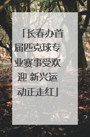 长春办首届匹克球专业赛事受欢迎 新兴运动正走红