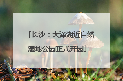 长沙：大泽湖近自然湿地公园正式开园
