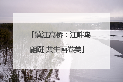 镇江高桥：江畔鸟翩跹 共生画卷美