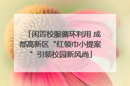 闲置校服循环利用 成都高新区“红领巾小提案”引领校园新风尚