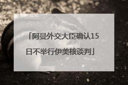 阿曼外交大臣确认15日不举行伊美核谈判