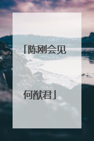 陈刚会见何猷君