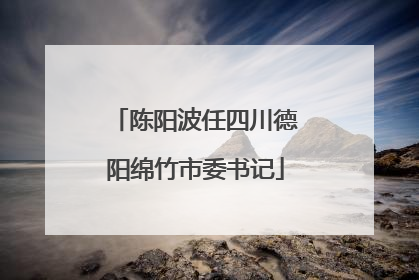 陈阳波任四川德阳绵竹市委书记