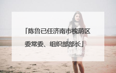 陈鲁已任济南市槐荫区委常委、组织部部长