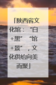陕西省文化馆：“白+黑”“馆+景”，文化供给向美而聚