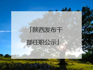 陕西发布干部任职公示