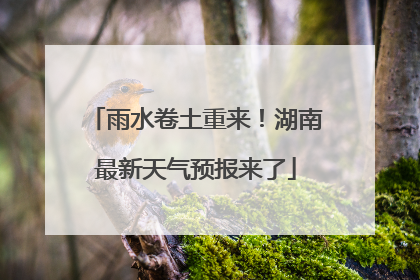 雨水卷土重来！湖南最新天气预报来了