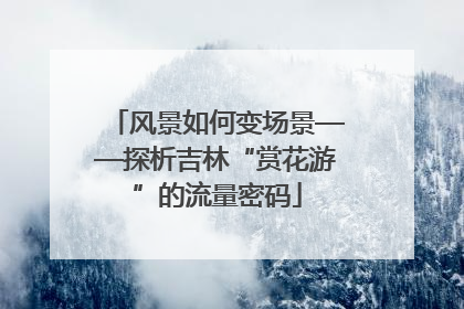 风景如何变场景——探析吉林“赏花游”的流量密码