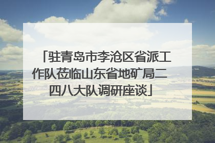 驻青岛市李沧区省派工作队莅临山东省地矿局二四八大队调研座谈