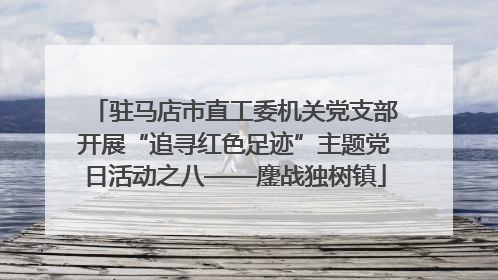 驻马店市直工委机关党支部开展“追寻红色足迹”主题党日活动之八——鏖战独树镇