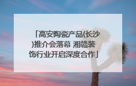高安陶瓷产品(长沙)推介会落幕 湘赣装饰行业开启深度合作