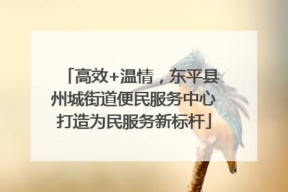 高效+温情，东平县州城街道便民服务中心打造为民服务新标杆