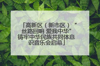 高新区（新市区）“丝路回响 爱我中华”铸牢中华民族共同体意识音乐会启幕