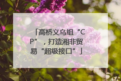 高桥义乌组“CP”，打造湘非贸易“超级接口”
