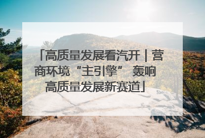 高质量发展看汽开｜营商环境“主引擎” 轰响高质量发展新赛道