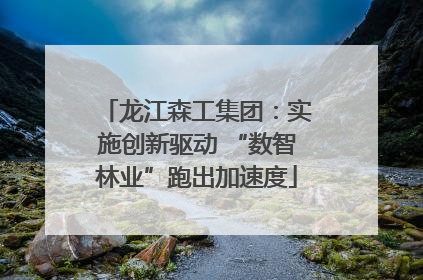 龙江森工集团：实施创新驱动 “数智林业”跑出加速度