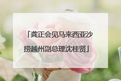 龚正会见马来西亚沙捞越州副总理沈桂贤