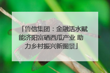 鲁信集团：金融活水赋能济阳富硒西瓜产业 助力乡村振兴新图景