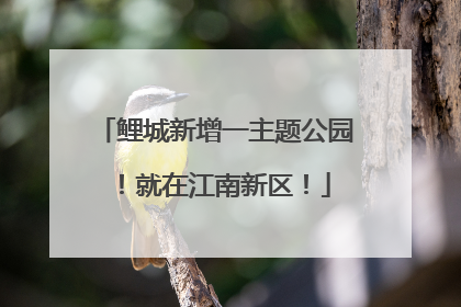 鲤城新增一主题公园！就在江南新区！