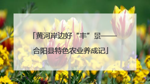 黄河岸边好“丰”景——合阳县特色农业养成记