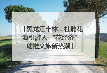 黑龙江丰林：杜鹃花海引游人 “花经济”助推文旅新热潮