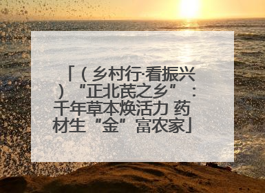 （乡村行·看振兴）“正北芪之乡”：千年草本焕活力 药材生“金”富农家