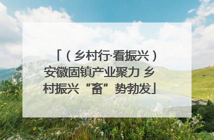 （乡村行·看振兴）安徽固镇产业聚力 乡村振兴“畜”势勃发