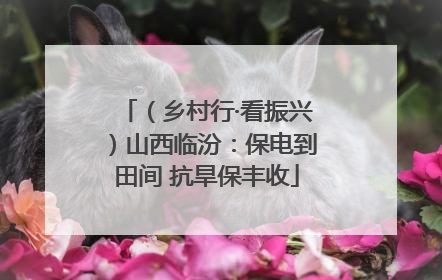 （乡村行·看振兴）山西临汾：保电到田间 抗旱保丰收