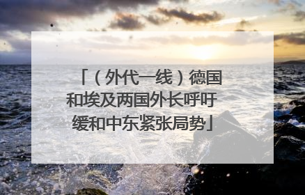 （外代一线）德国和埃及两国外长呼吁缓和中东紧张局势