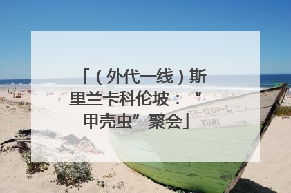 （外代一线）斯里兰卡科伦坡：“甲壳虫”聚会