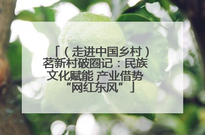 （走进中国乡村）茗新村破圈记：民族文化赋能 产业借势 “网红东风”