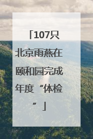 107只北京雨燕在颐和园完成年度“体检”