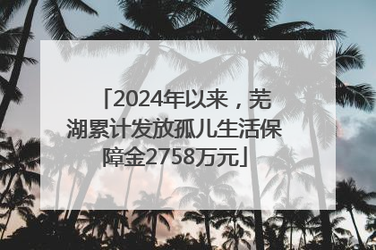 2024年以来，芜湖累计发放孤儿生活保障金2758万元