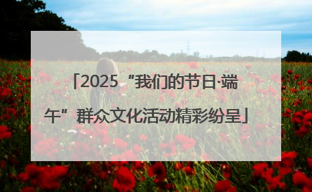 2025“我们的节日·端午”群众文化活动精彩纷呈