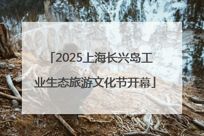 2025上海长兴岛工业生态旅游文化节开幕