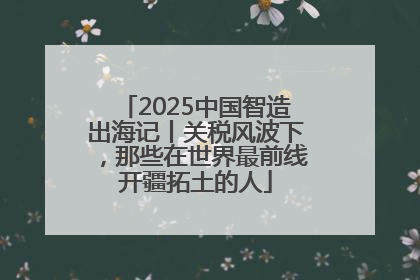 2025中国智造出海记丨关税风波下，那些在世界最前线开疆拓土的人