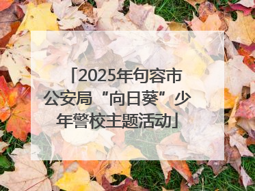 2025年句容市公安局“向日葵”少年警校主题活动