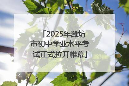 2025年潍坊市初中学业水平考试正式拉开帷幕