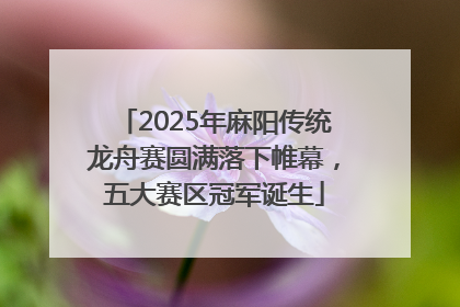 2025年麻阳传统龙舟赛圆满落下帷幕，五大赛区冠军诞生