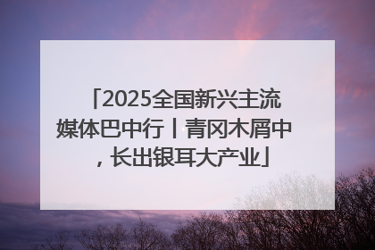 2025全国新兴主流媒体巴中行丨青冈木屑中，长出银耳大产业