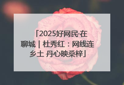 2025好网民·在聊城｜杜秀红：网线连乡土 丹心映桑梓