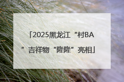2025黑龙江“村BA”吉祥物“隆隆”亮相