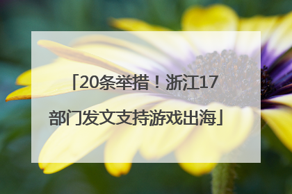 20条举措！浙江17部门发文支持游戏出海