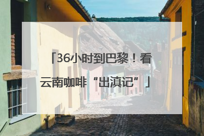 36小时到巴黎！看云南咖啡“出滇记”