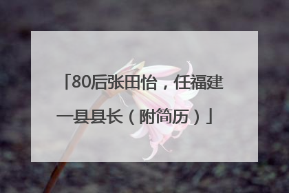 80后张田怡，任福建一县县长（附简历）