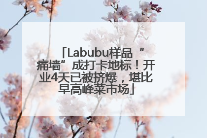 Labubu样品“痛墙”成打卡地标!开业4天已被挤爆,堪比早高峰菜市场